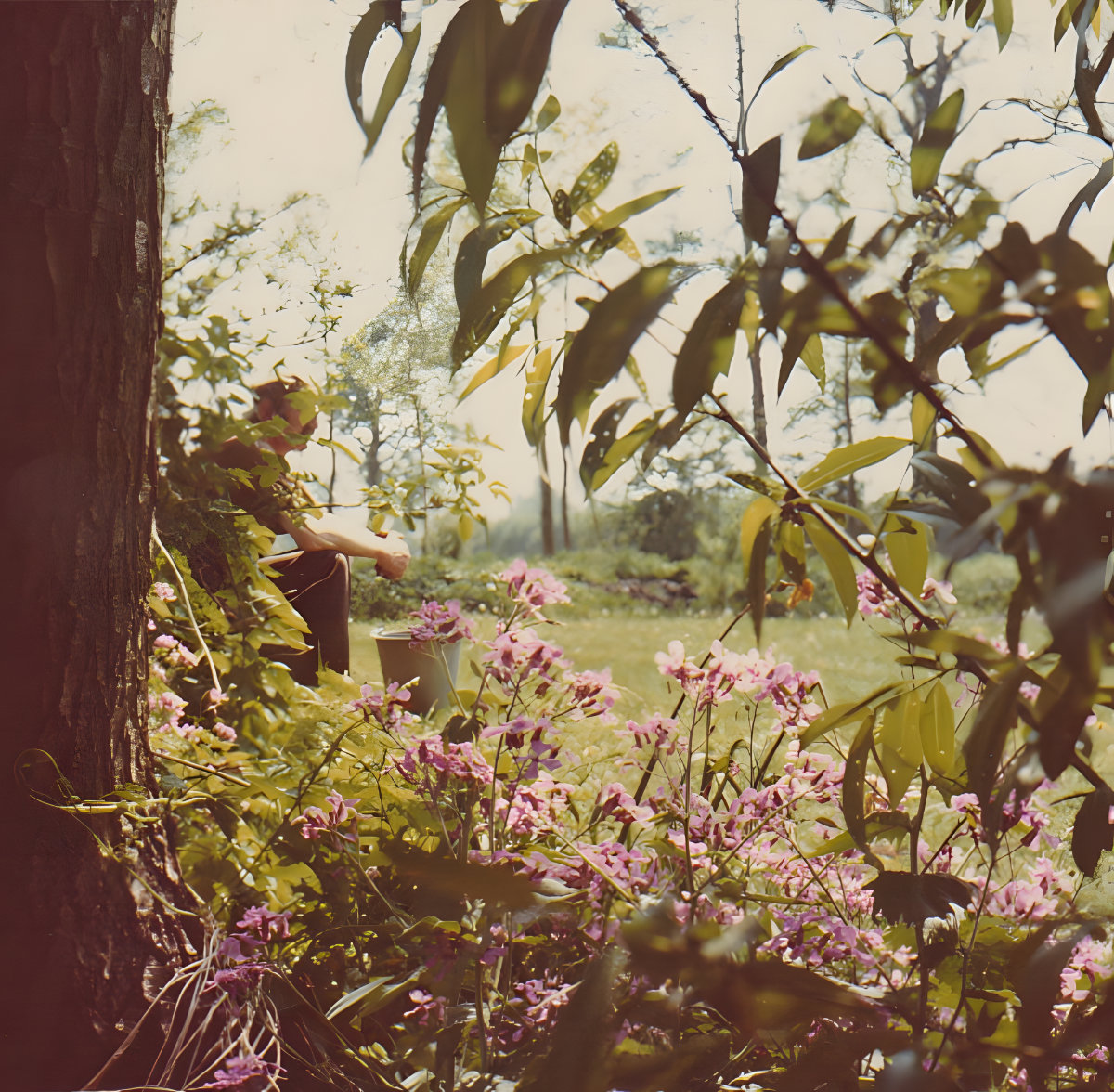 De bloemen bloeien weer