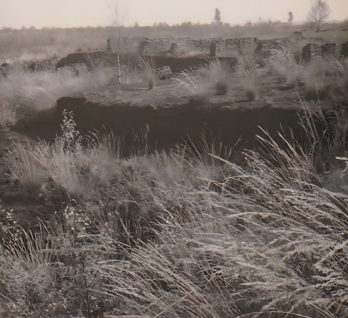 Veenlandschap met stapels turf dat ligt te drogen